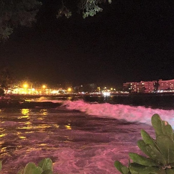 Meet your Posher, Misty - Picture 1 of 1